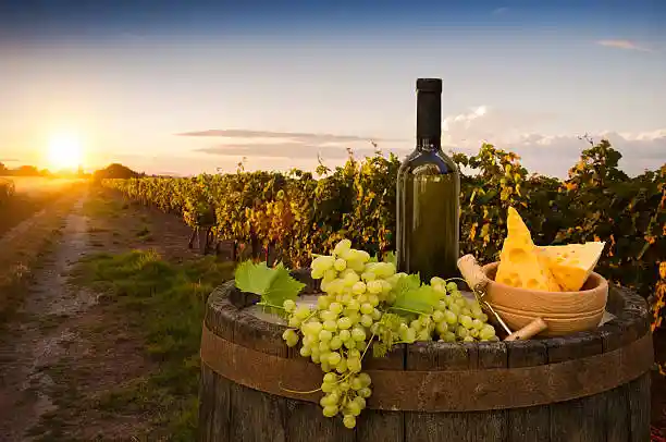 Wine tasting In Tuscany